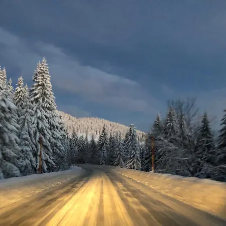 Apartament Milmari M12 Kopaonik