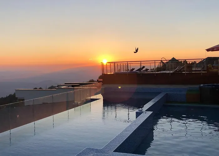 Apartament Milmari M12