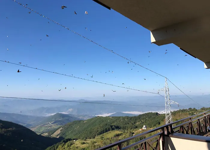 Apartament Milmari M12 *