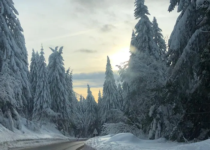 Milmari M12 Apartament