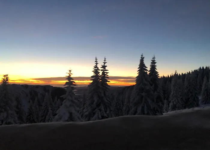 Milmari M12 Apartament Kopaonik