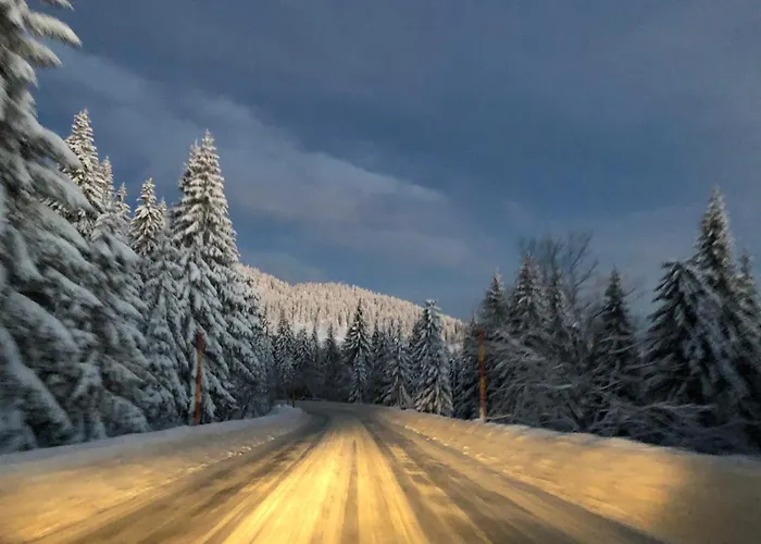 Apartament Milmari M12 Kopaonik