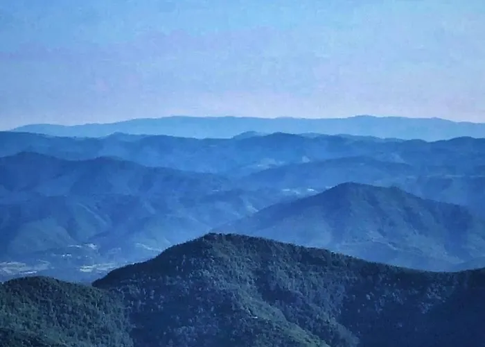 Apartament Milmari M12 *