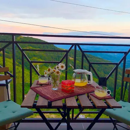 아파트 Milmari M12 *