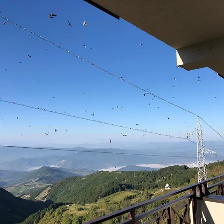 아파트 Milmari M12 *