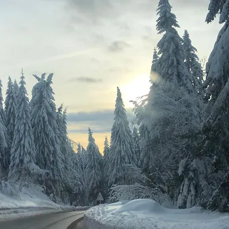 Milmari M12 דירה