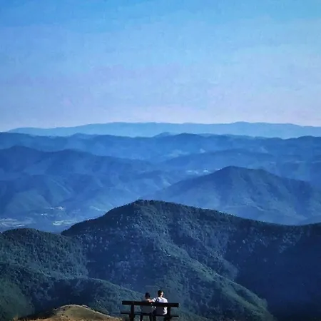 아파트 Milmari M12 *